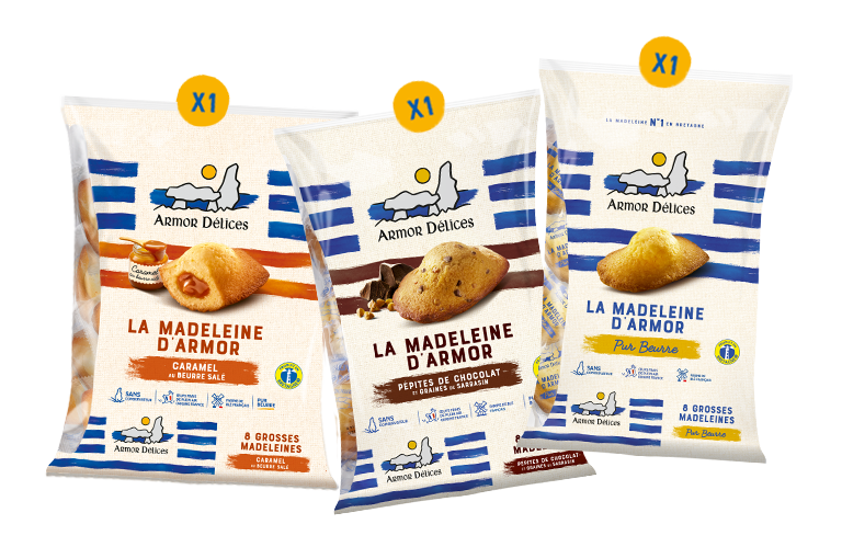 Madeleines carmel au beurre salé, madeleines pépites de chocolat, madeleines pur beurre